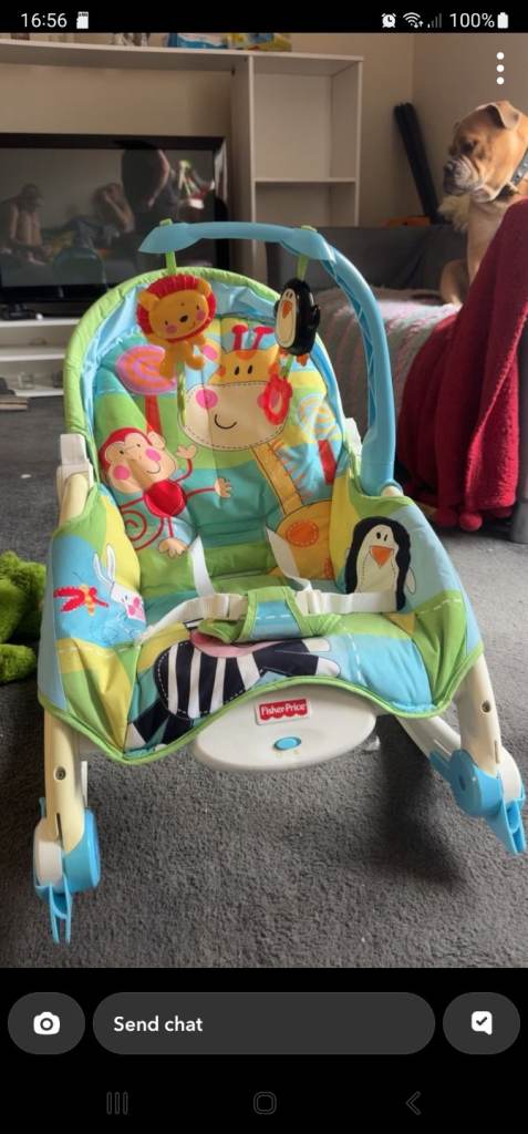 Baby bouncer