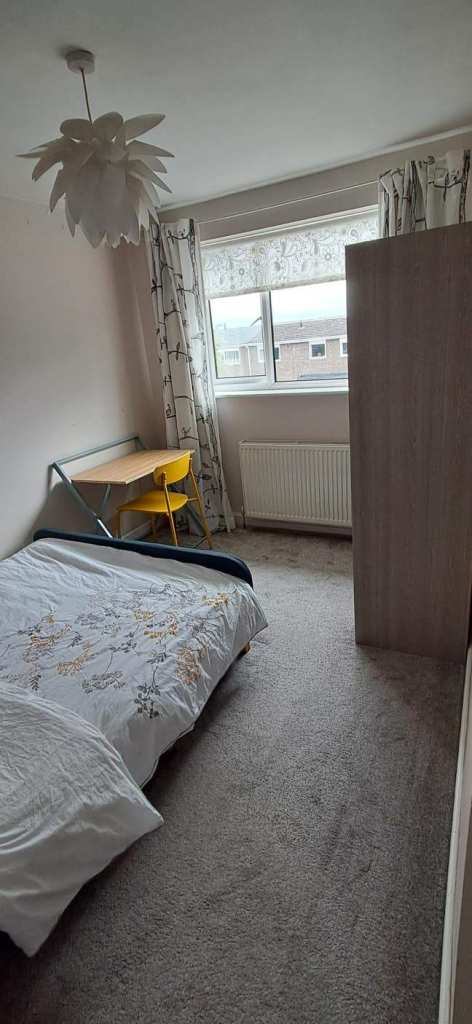 Rooms to let 
