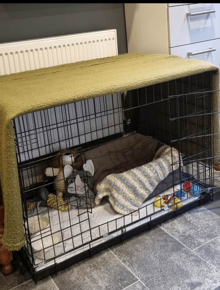 Used Dog crate - Large