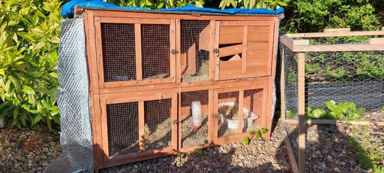Rabbit hutch and play pen