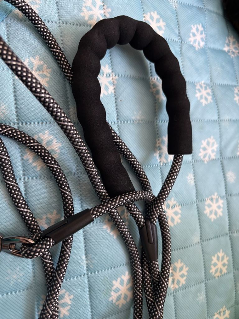 Dog lead