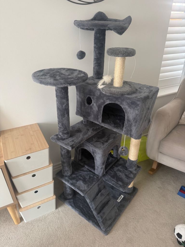  Cat scratch tree 