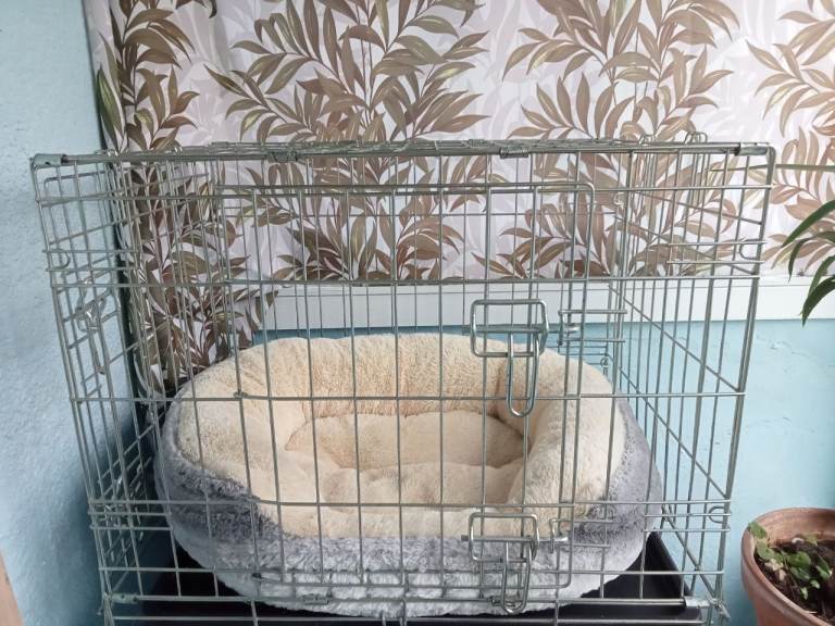 Free dog crate and bed