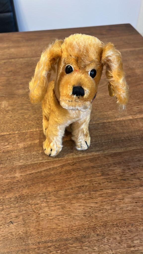 Original, vintage Steiff Cocker Spaniel