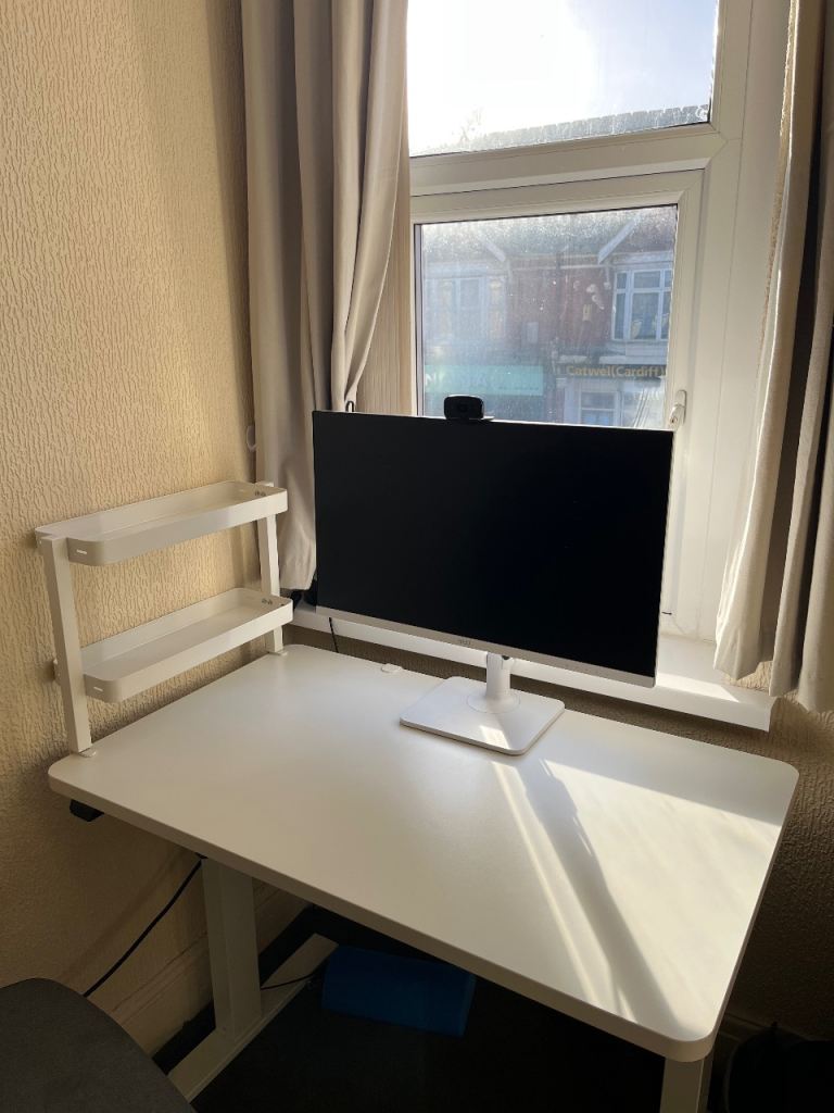Standing desk (Flexispot EG1/EF1)