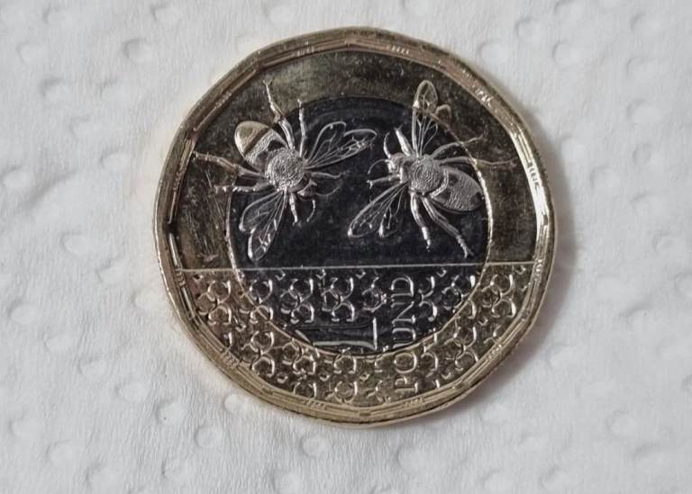 Very rare 2025 king Charles and two bee coin