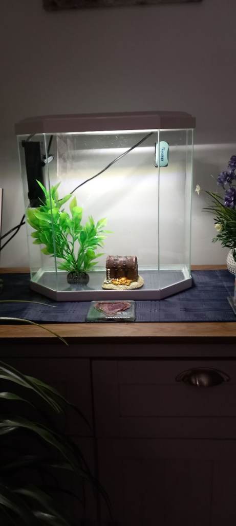 25 litre fish tank 