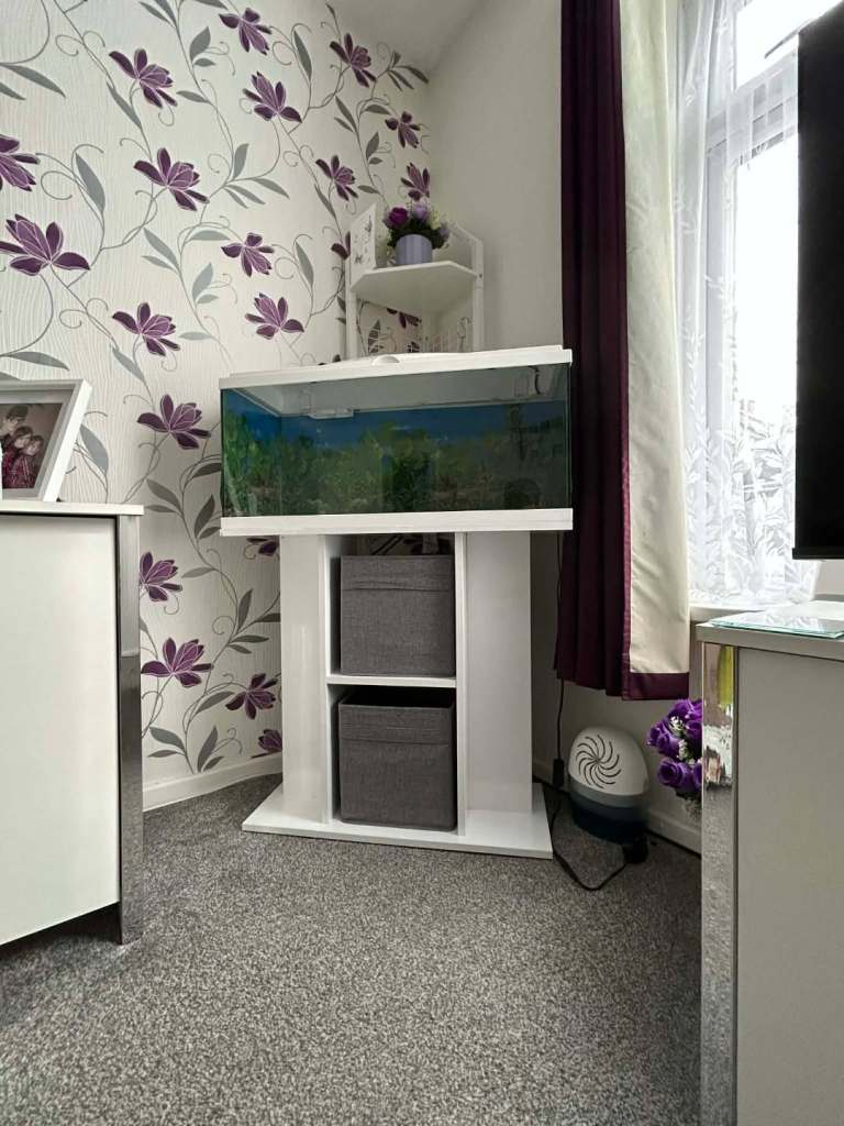 Ciano 80 aquarium with stand