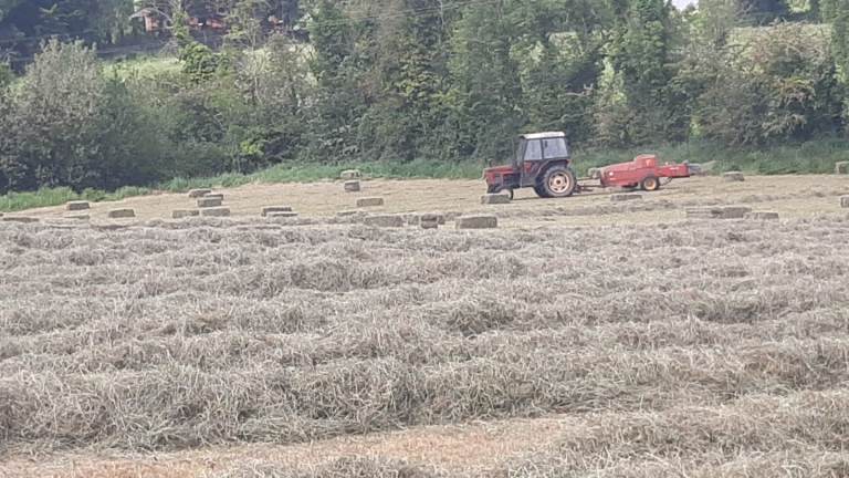 Hay 2026 small Bales Armagh 