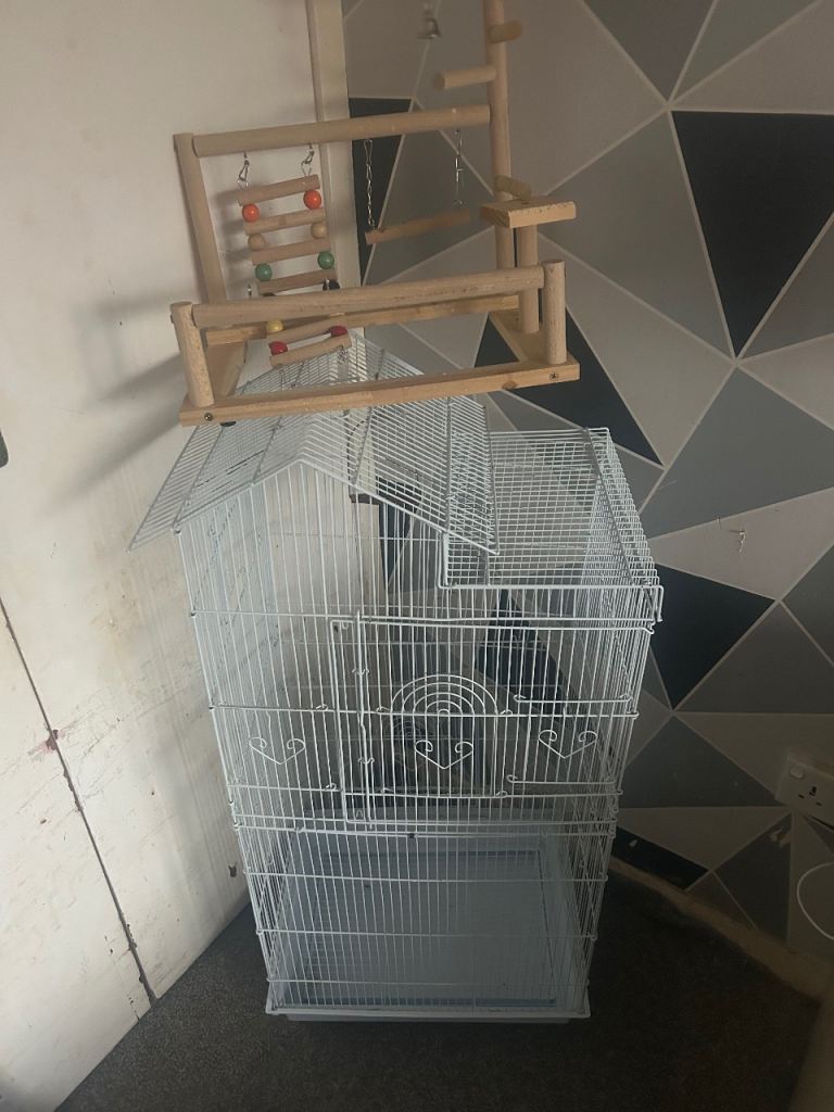 Bird cage 