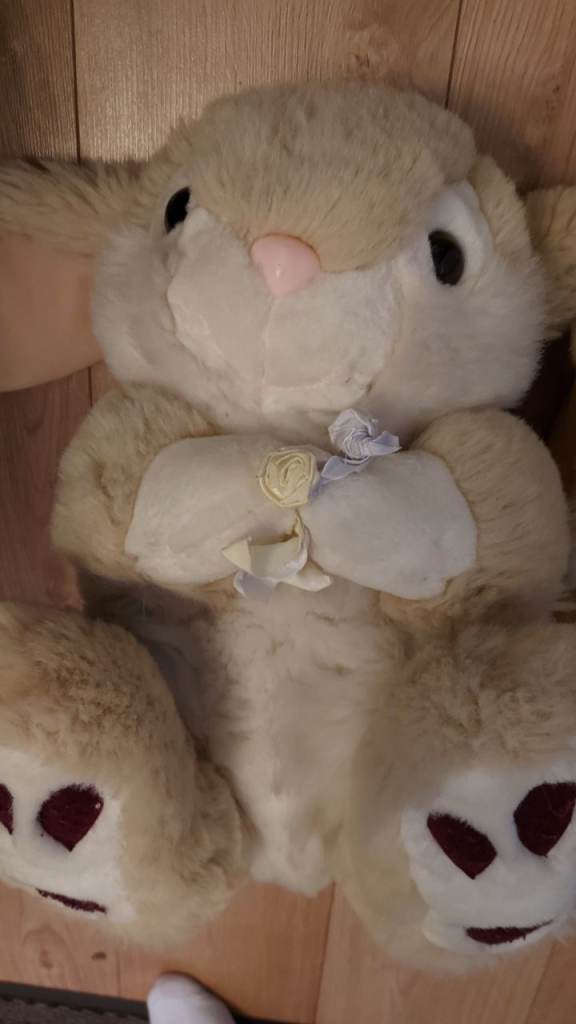 Big soft rabbit