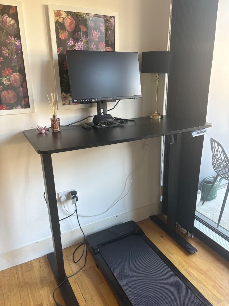 Black Electric Standing Desk 
