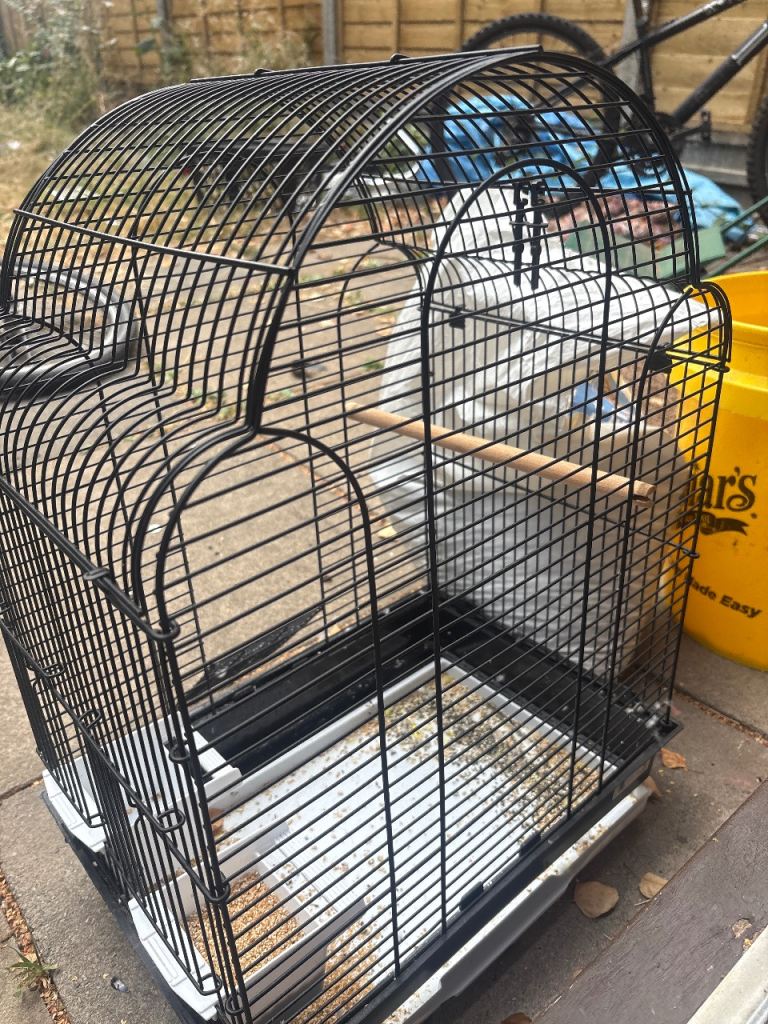Bird cage 