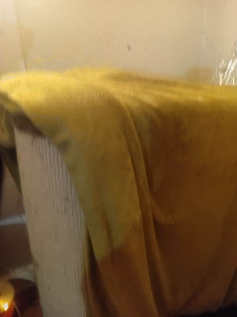Scratching post with Blanket