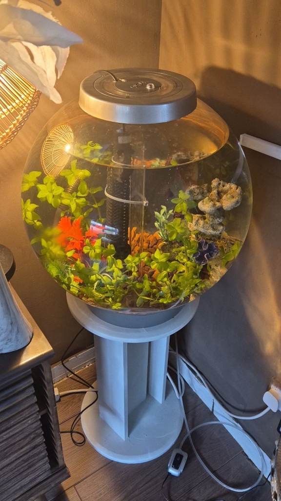 ORB FISH TANK 60 LTR