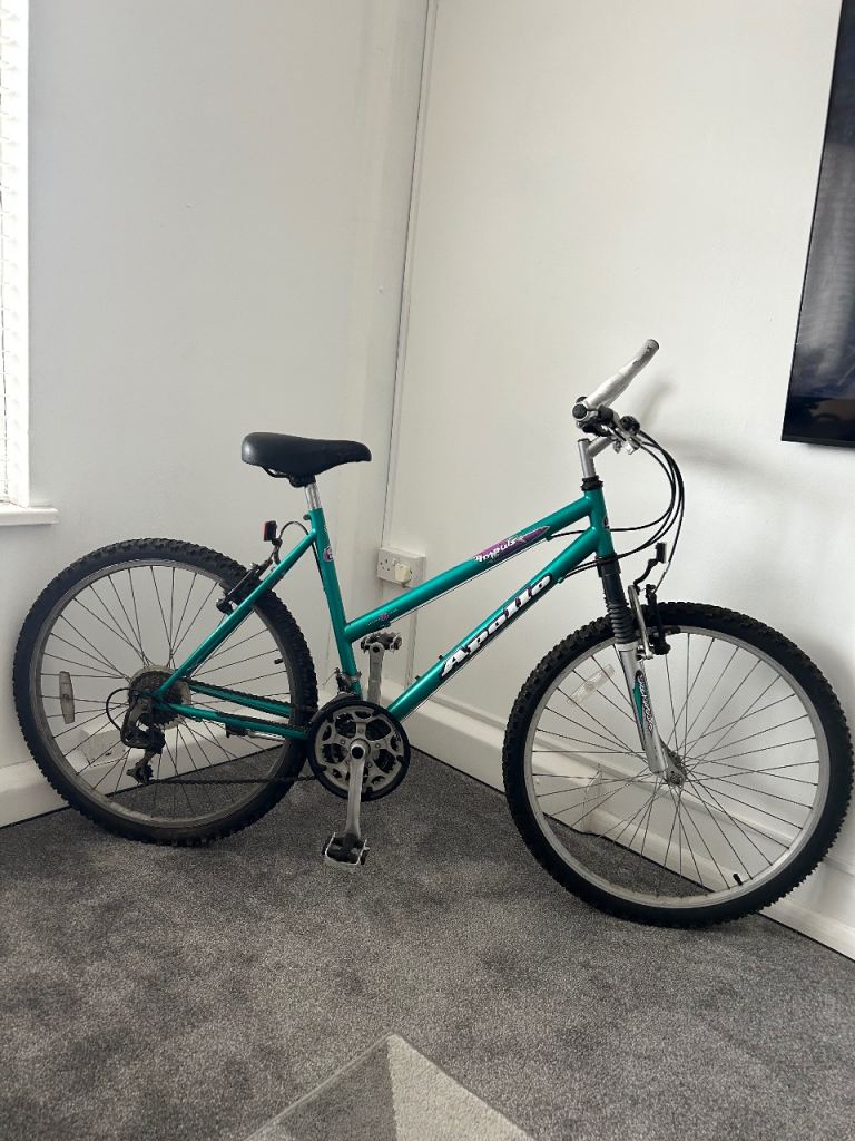 Mountain bike 