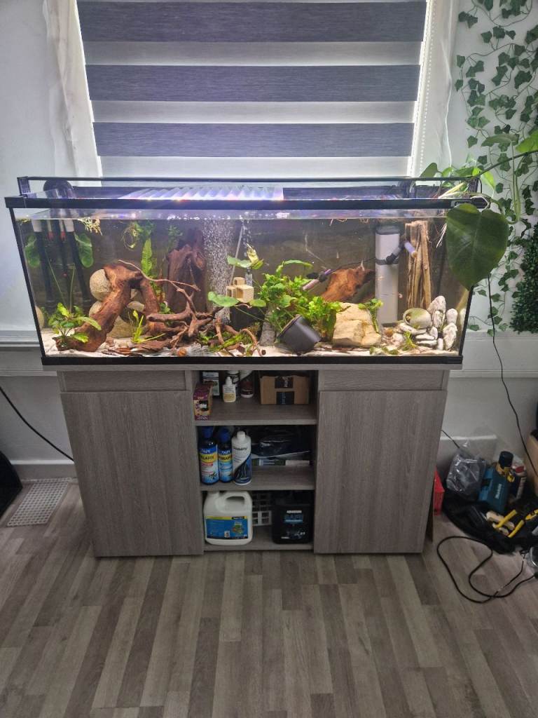 Aqua one Horizon 182L 4ft aquarium and stand& Fluval 407 Ext Filter & Stand