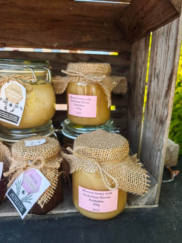 Raw blossom honey 2025 produce from Perthshire 454g_distinct buckwheat flavour