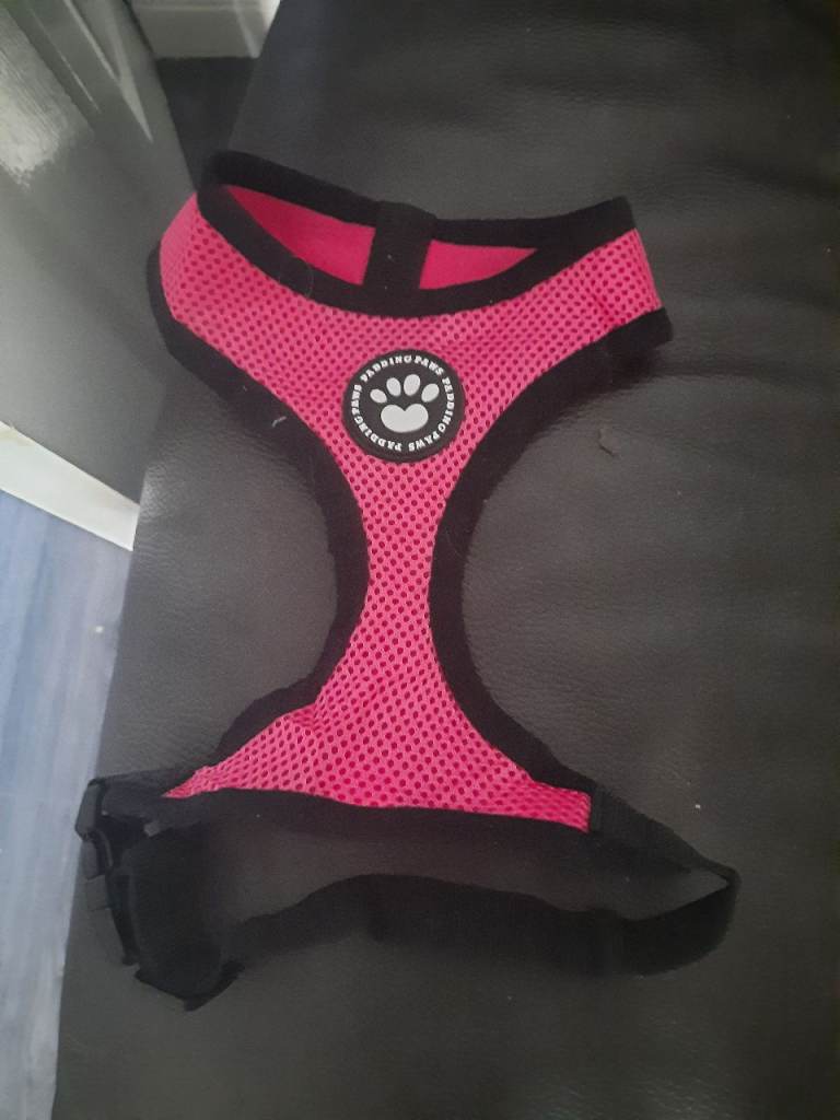 Waterproof pink puppy harness