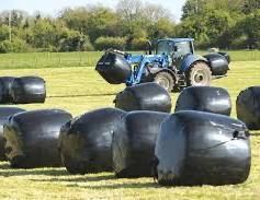 1st cut round bales 