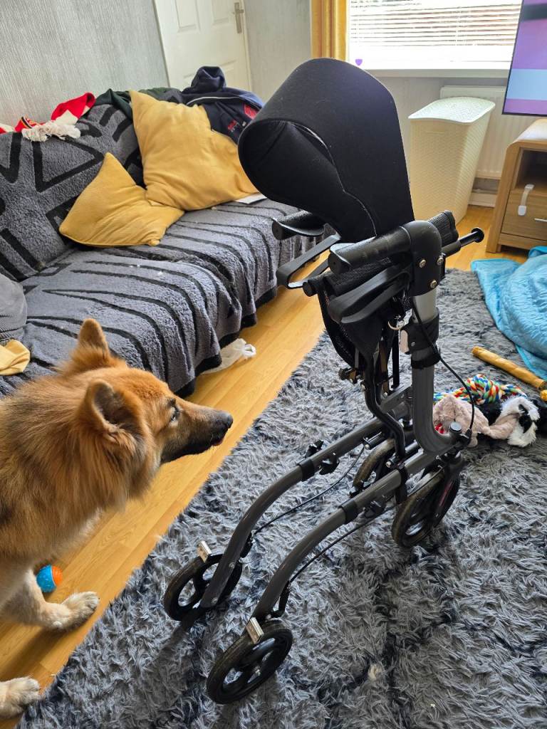 4 Wheeled Rollator Walker