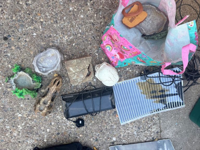 Lizard/pond accessories 