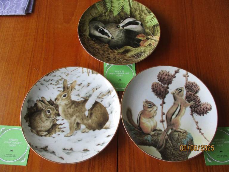 Decorative Collector Plates - Wildlife Animal and Bird Designs - The Forest Year 1988 collection
