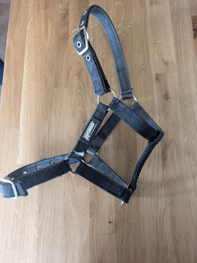 Roma headcollar