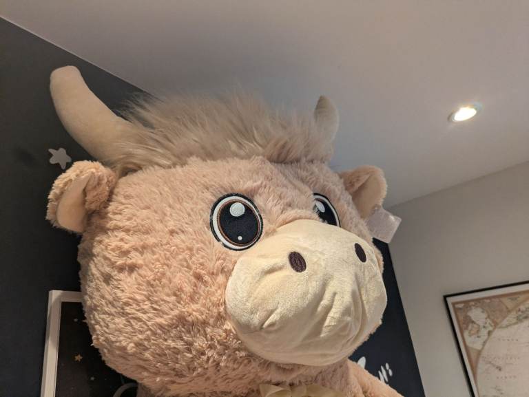 🧸 Giant Soft Plush Highland Cow – BRAND NEW – Perfect Christmas Gift!