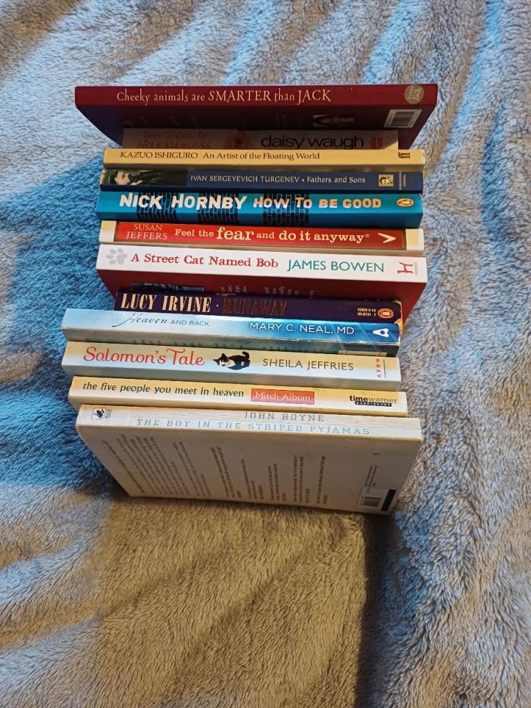 JOB LOT 12 BOOKS GREAT CONDITION GREAT NOVELS.