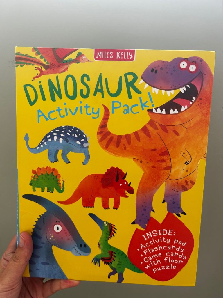 Dinosaur activity book