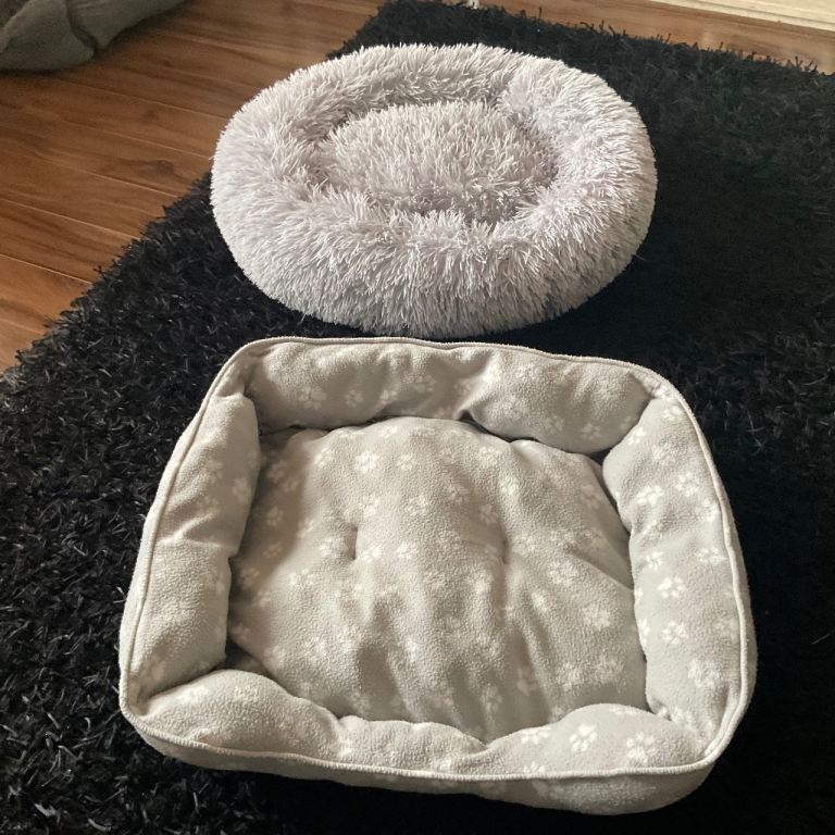 2 dog beds size small