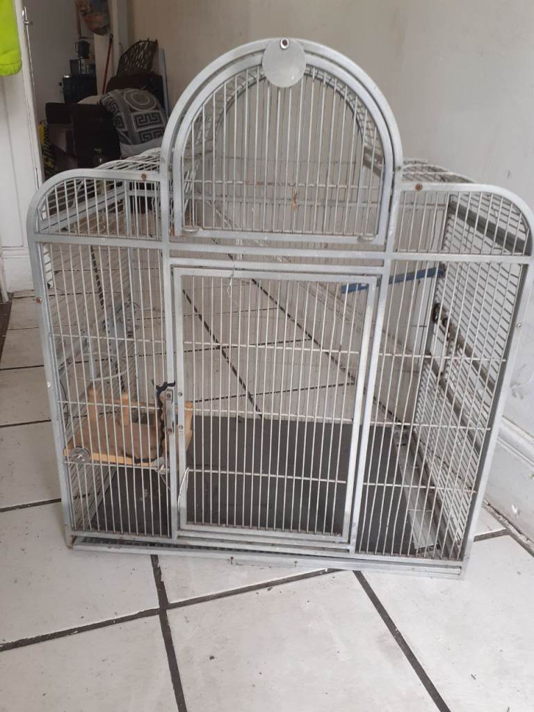 Bird cage 