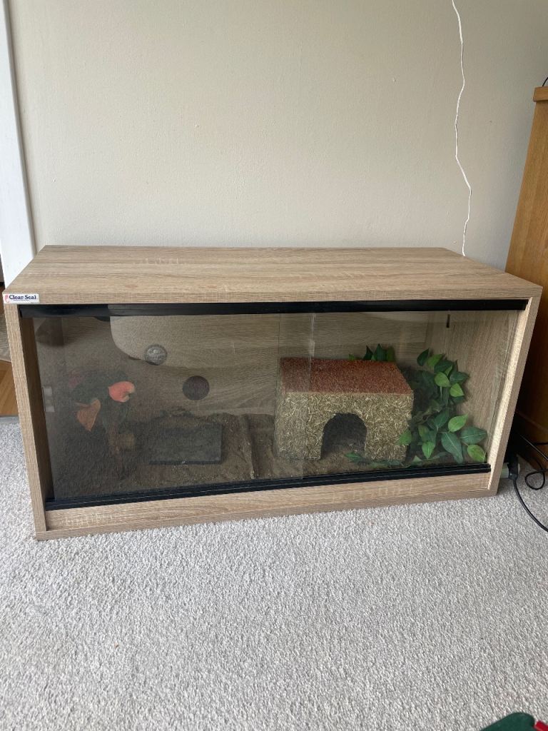 Terrarium 