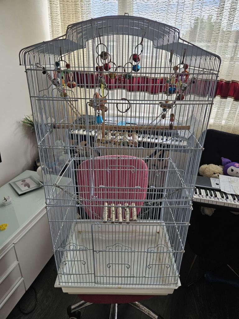 Bird cage