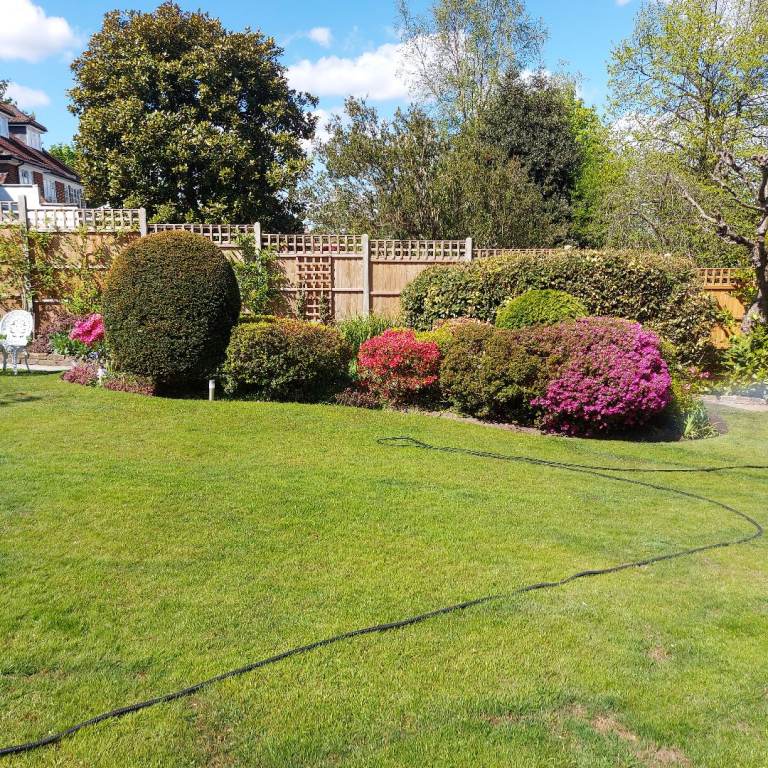 Garden maintenance,turf laying,planting in london