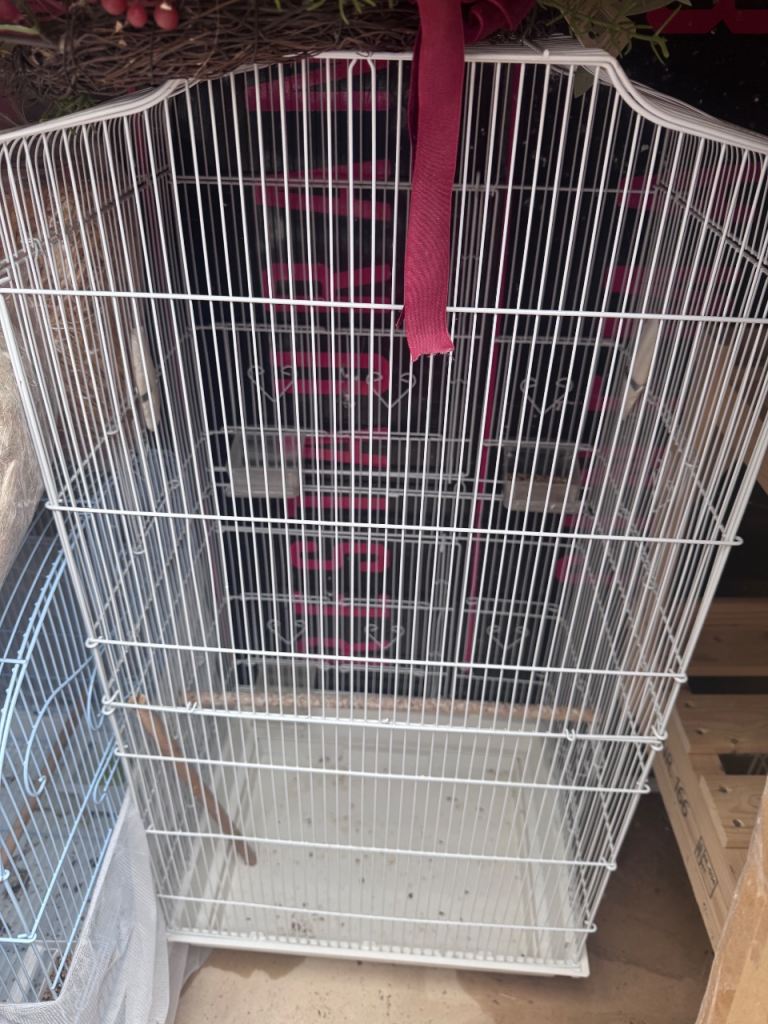 2 bird cages 