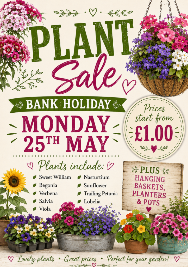 Plants, baskets & pots