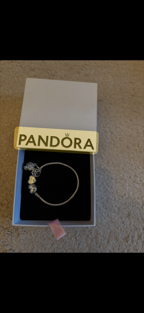 Small Pandora charm bracelet with 4 charms  