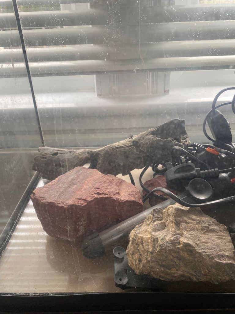 80L fish tank