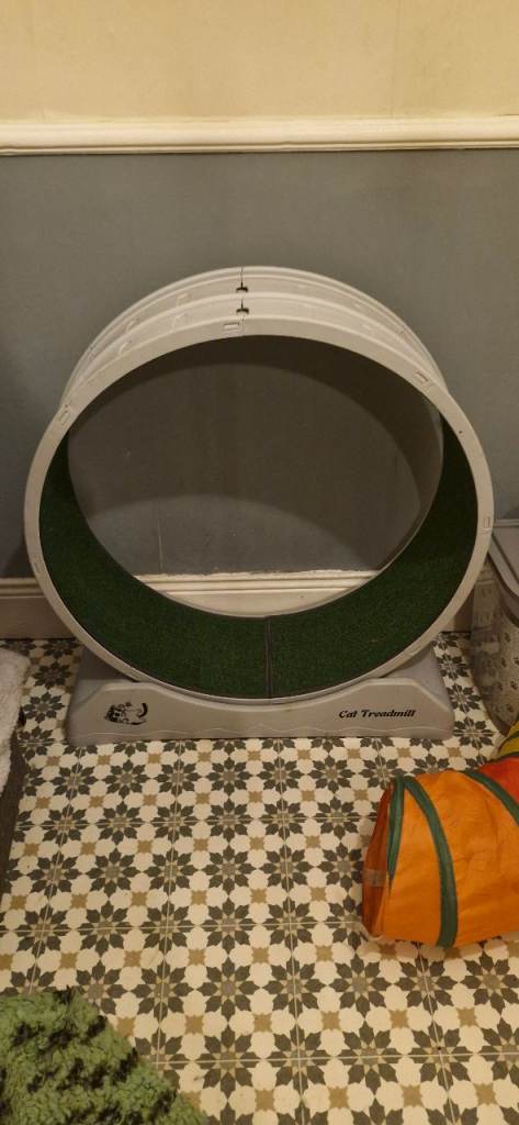 Cat exercise wheel 