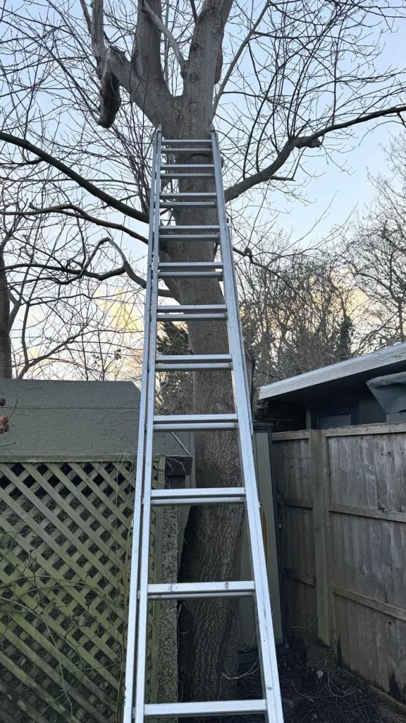 Extendable (14x2 rungs) ladder