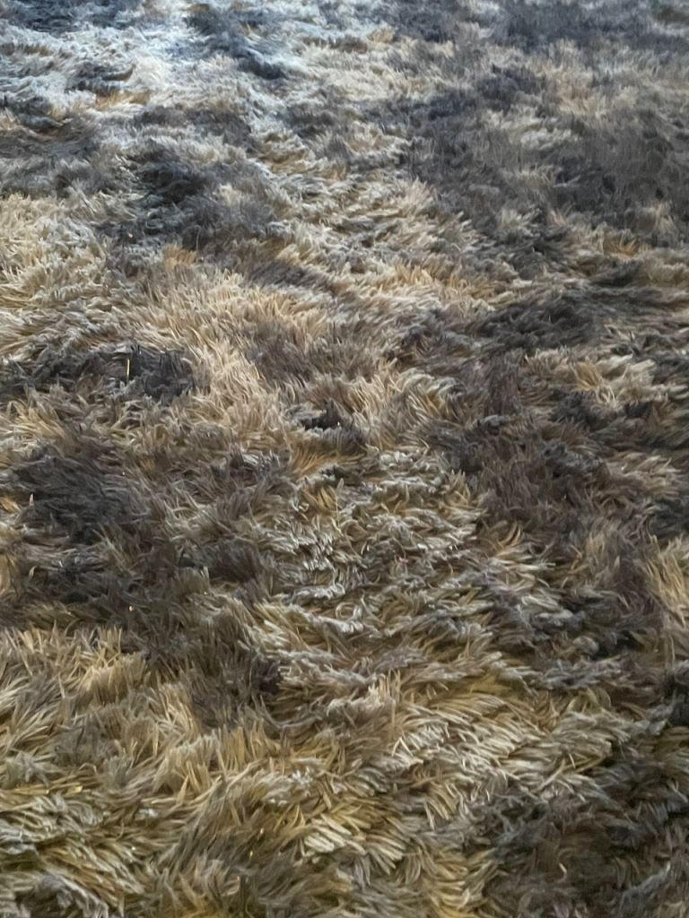 Large Area Rug