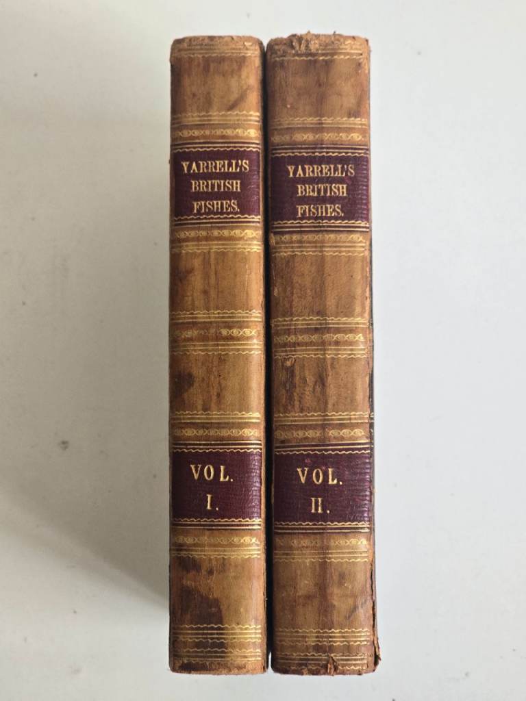 1836 Antique Rare Georgian Era History of British Fishes Books 1st Edition, 2 Volumes -190Y/O!