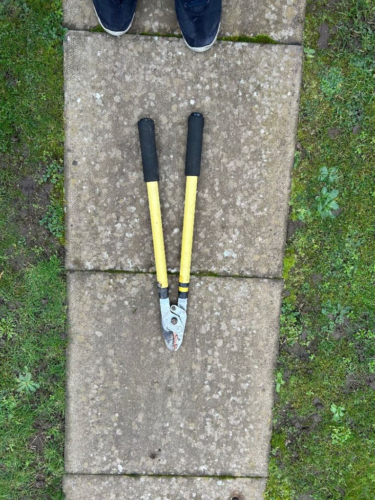 Extendable Branch/hedge cutter 