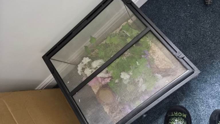 Full set up vivarium 