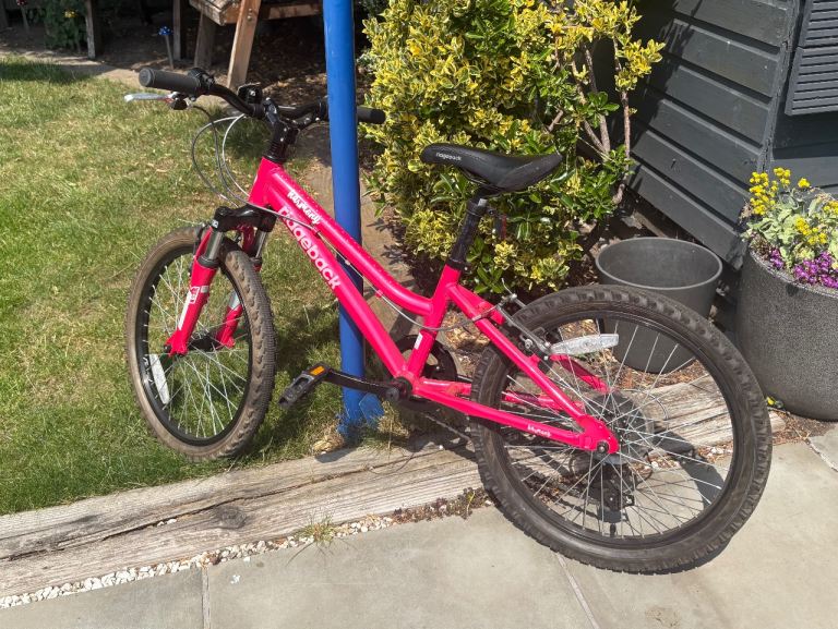 Kids Ridgeback 20 inch wheels, pink bike