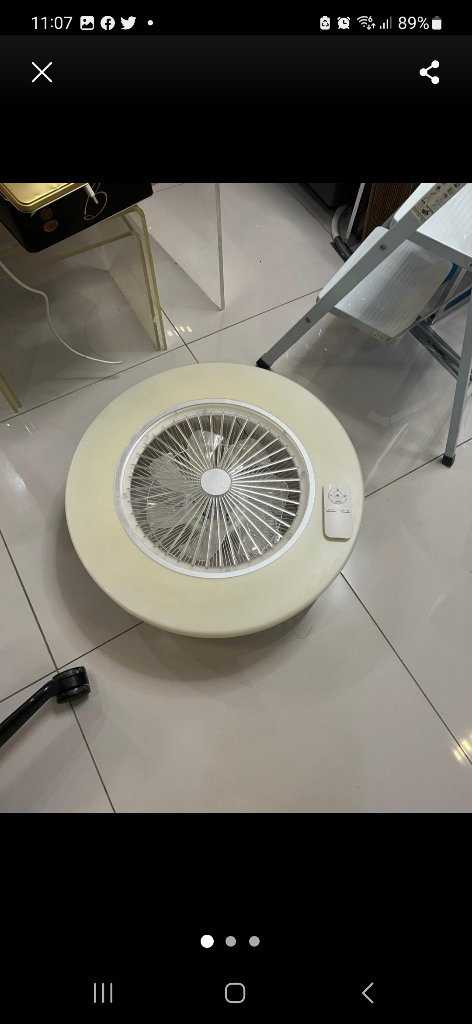 Ceiling fan with light