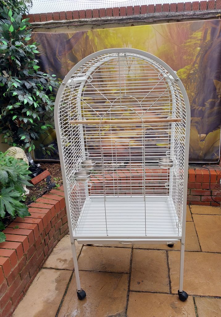 Parrot Cage