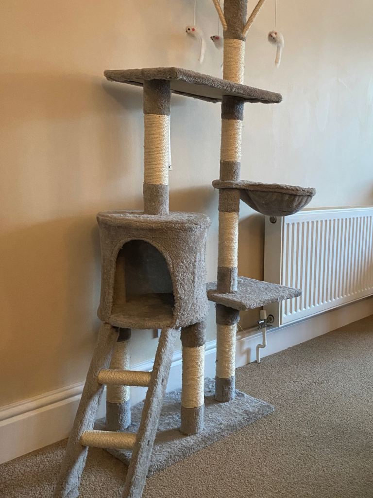 Large 145cm multi-level cat tree / activity tower in light grey.